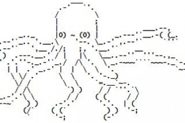 Kraken onion